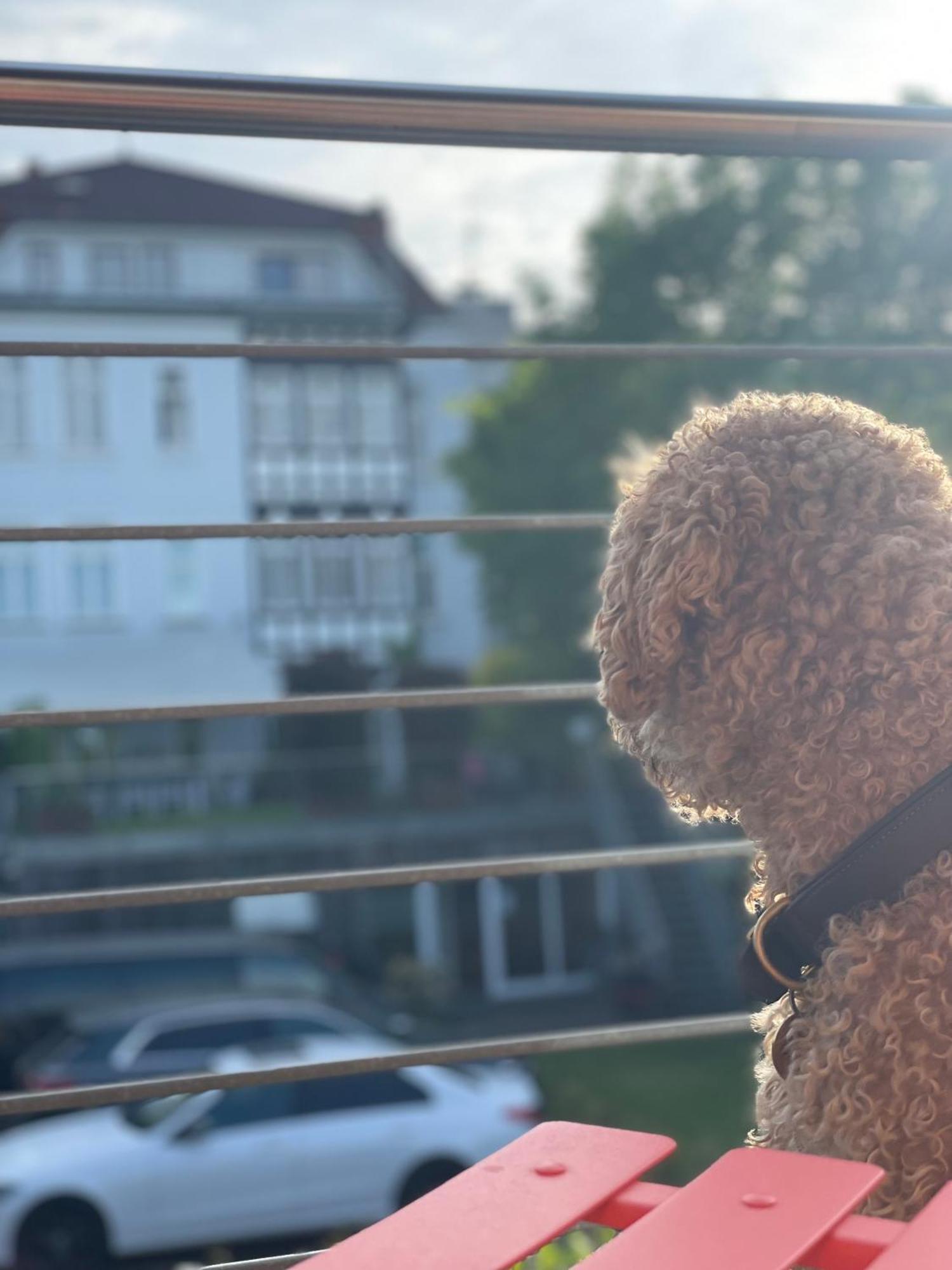 Sonniges Hinterhaus Og Innenstadt Osnabrück Екстериор снимка